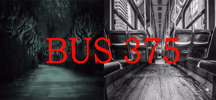 bus375.jpg