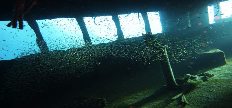 underwaterbridge.jpg